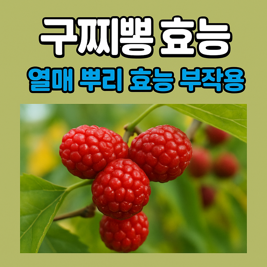 구찌뽕 효능