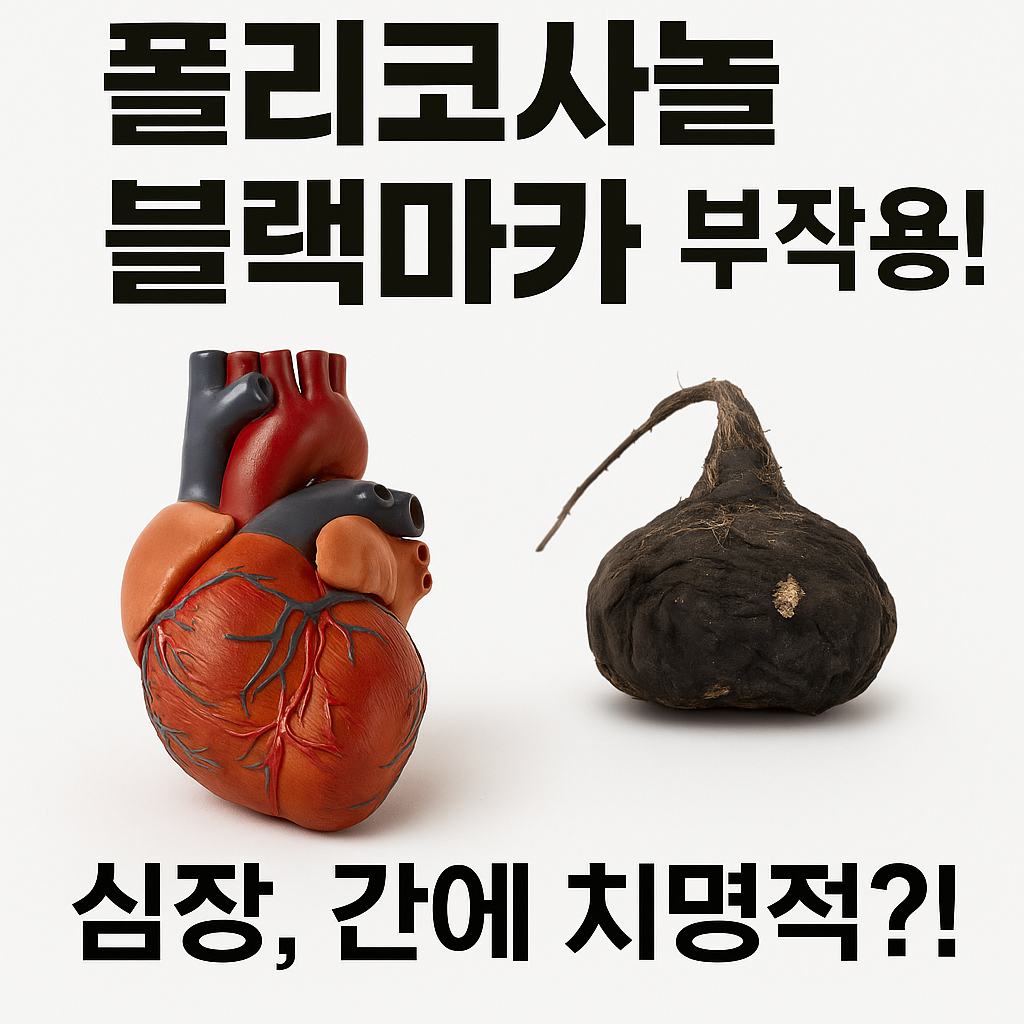 폴리코사놀 블랙마카