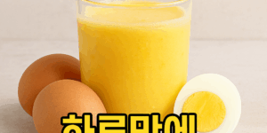 에그패스팅 식단