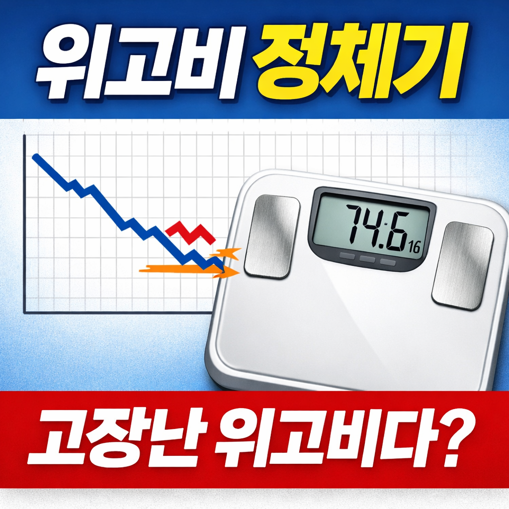 위고비 정체기