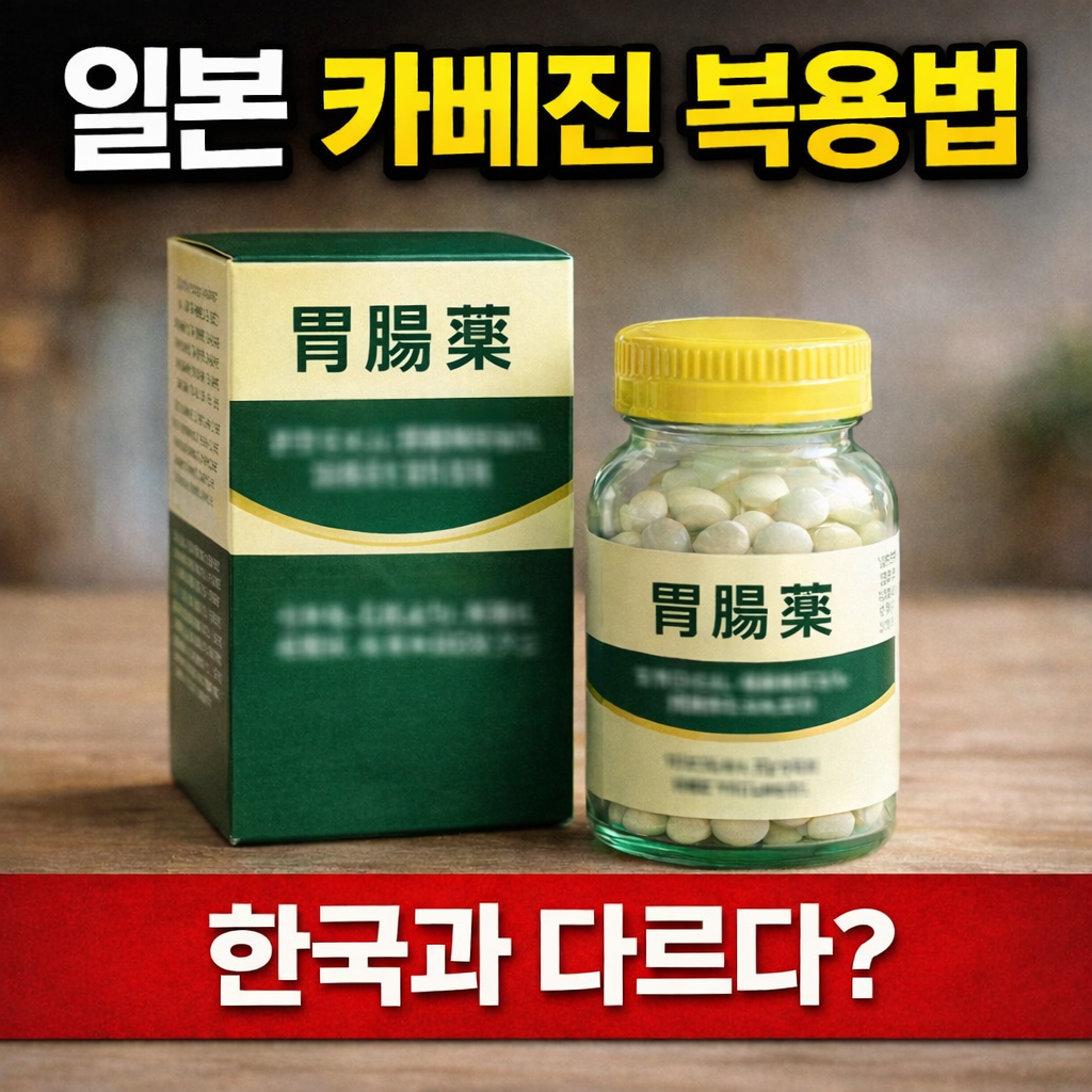 일본 카베진 복용법