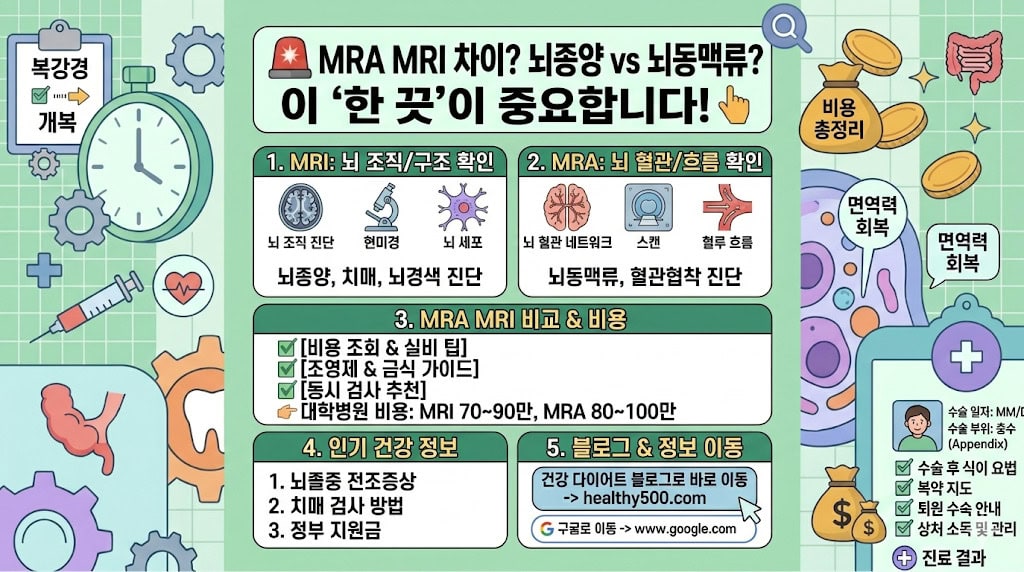 MRA MRI 차이 원리 및 검사 목적 비용 조영제 사용 여부 비교 요약 인포그래픽 이미지
