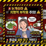 눈개승마 생식 부작용과 위장염 경고 및 안전한 피부과 동안 리프팅 시술 가이드