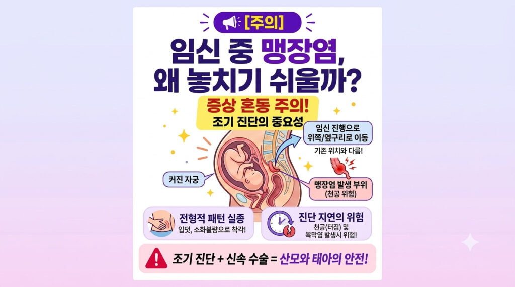 임신 중 맹장염 증상 자궁 증대로 인한 통증 위치 변화 및 임산부 맹장수술 주의사항 인포그래픽